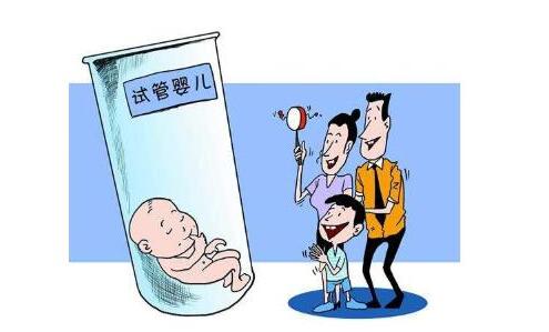 专家